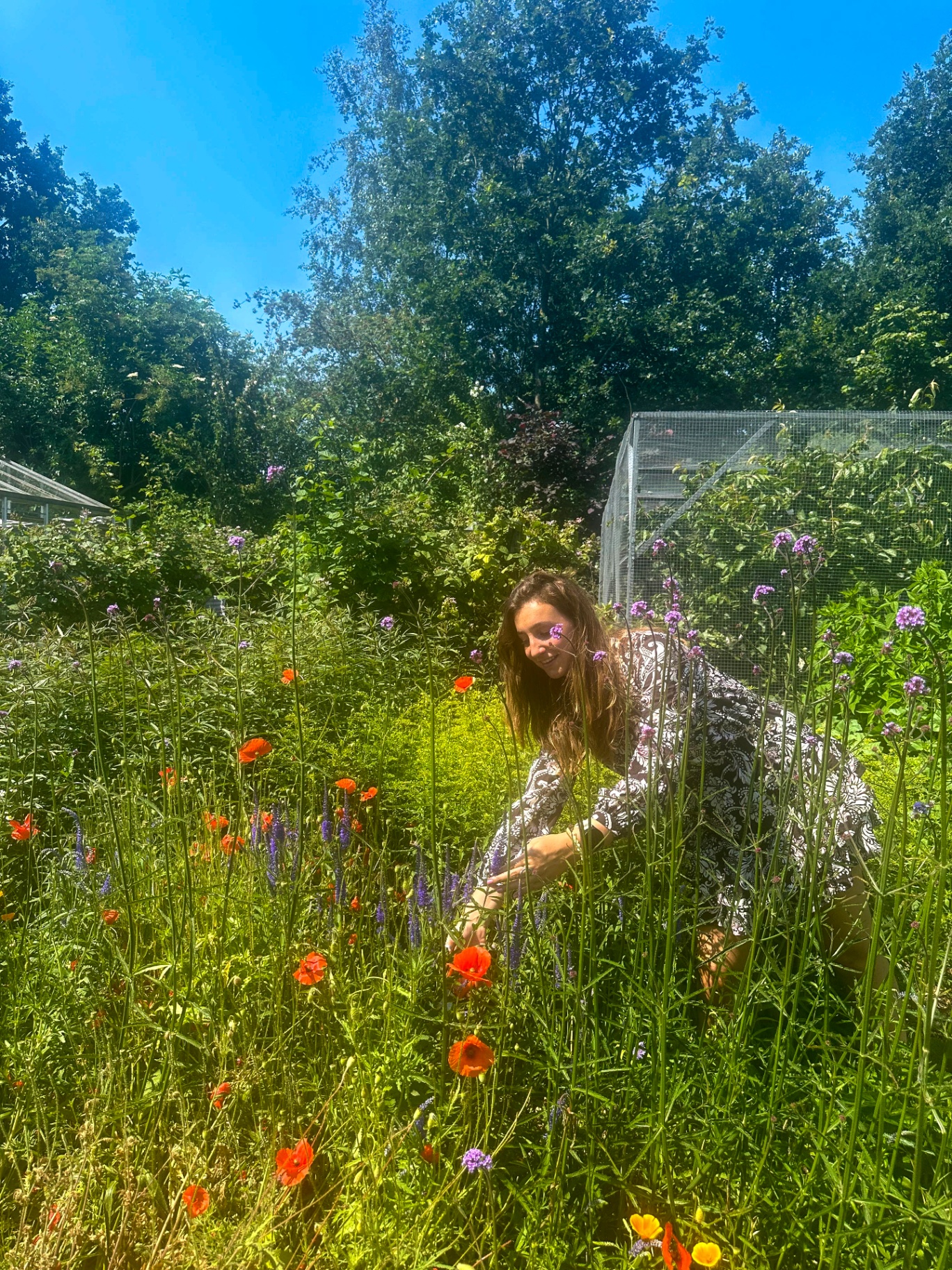 Leonie plukt bloemen in een zonnige tuin